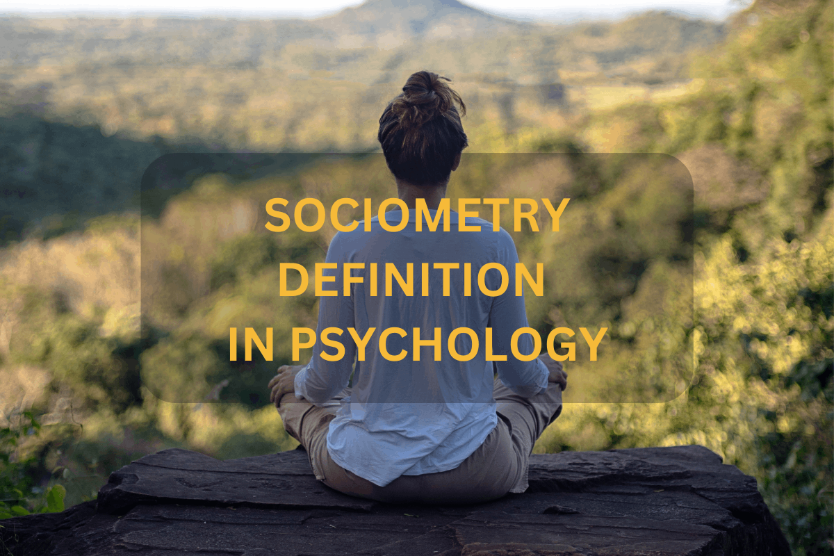 define sociometry