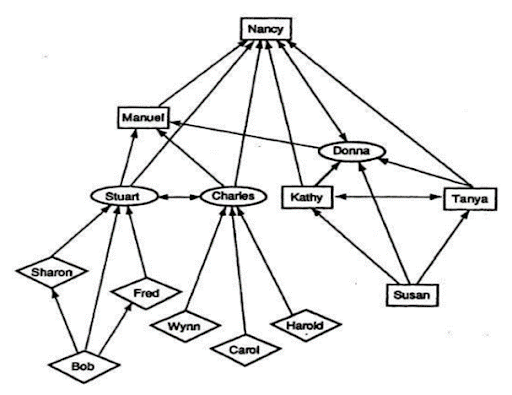 Advice network created by the auditing team of a company