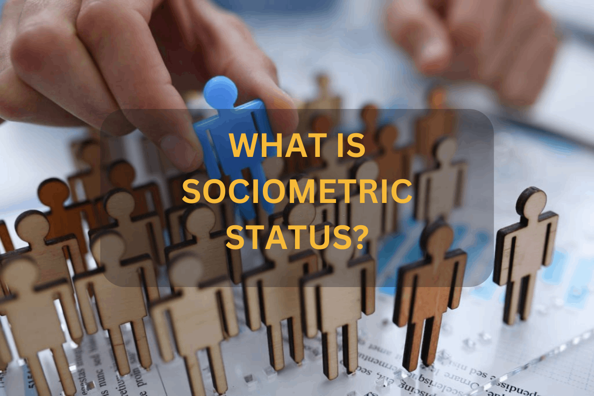 status sociométrico